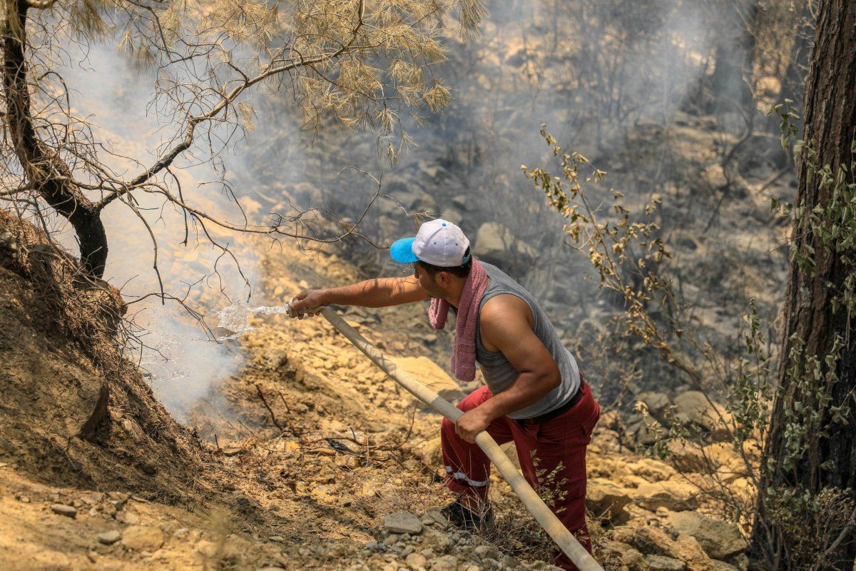 Manavgat'ta yangının 10. günü: Küle dönen orman alanı 100 bin hektarın üzerinde - Sayfa 2