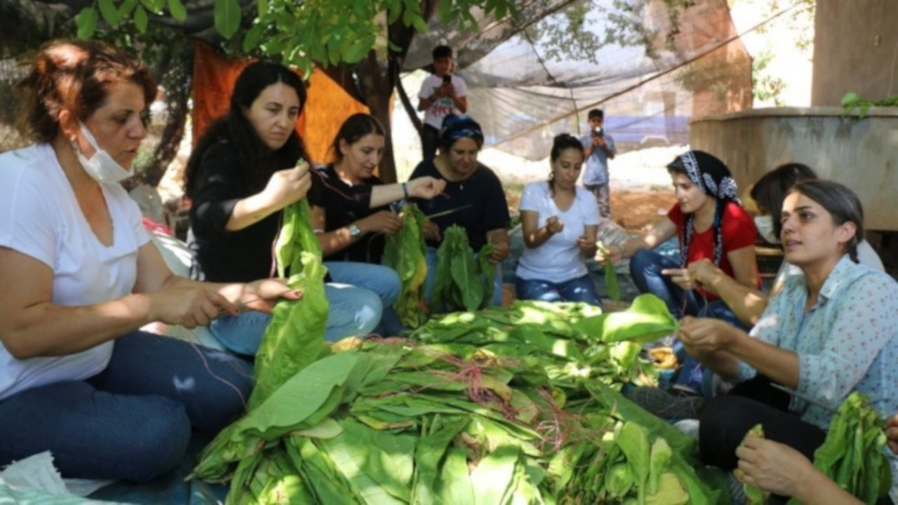HDP'li kadınlar tütün emekçisi kadınlarla bir araya geldi