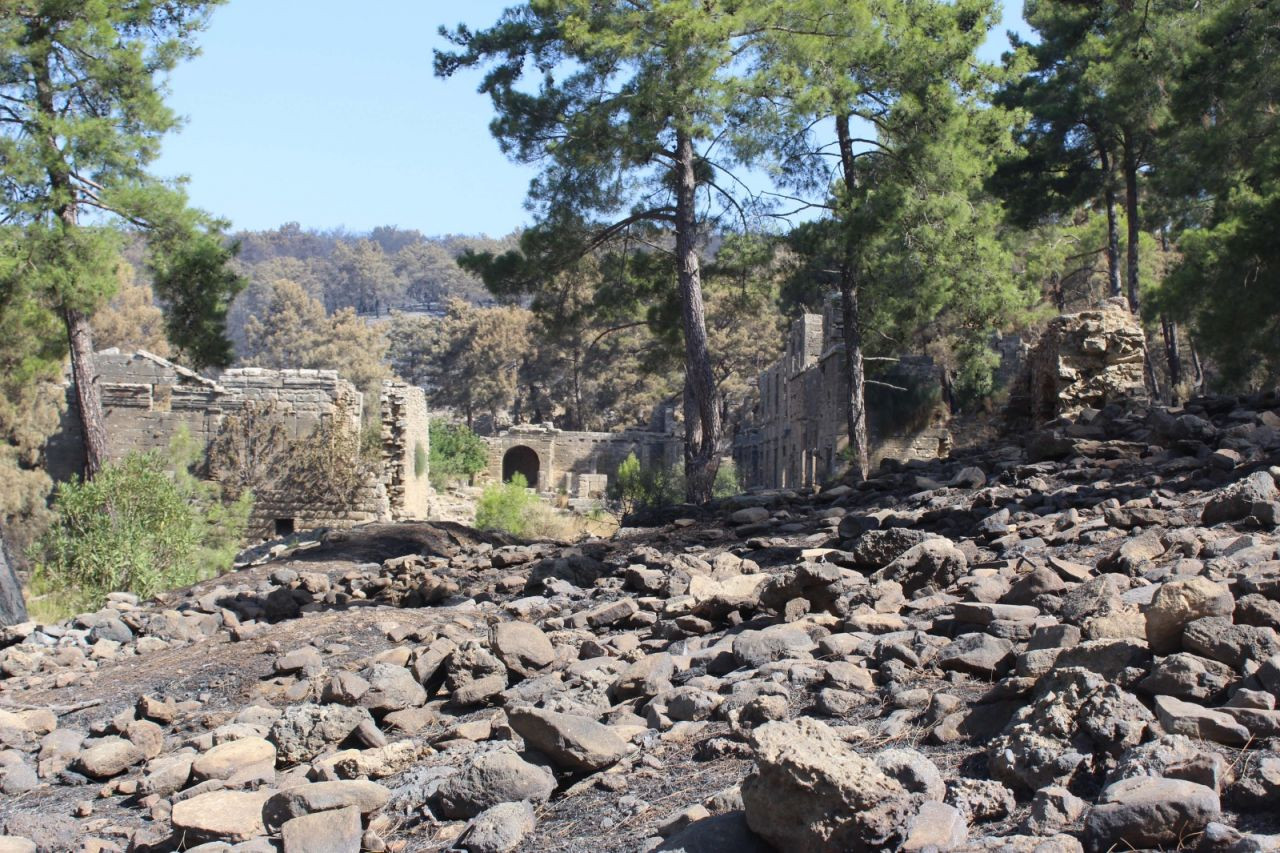 Manavgat'taki yangında Lyrbe Antik Kenti de yandı - Sayfa 1
