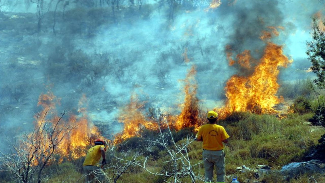 Kazma Bırak: Yangınların yayılmasından hükümetler sorumlu