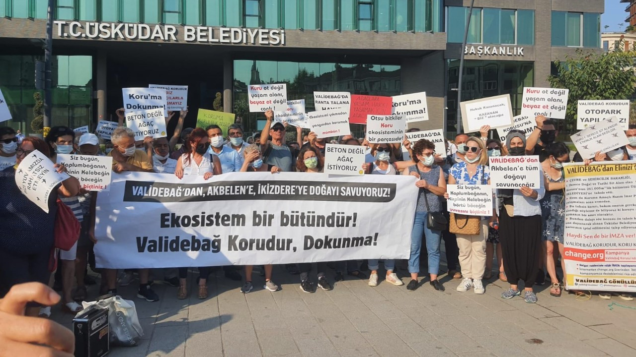 Validebağ'da belediye ot biçti: Korudaki ekosisteme zarar veriyorsunuz
