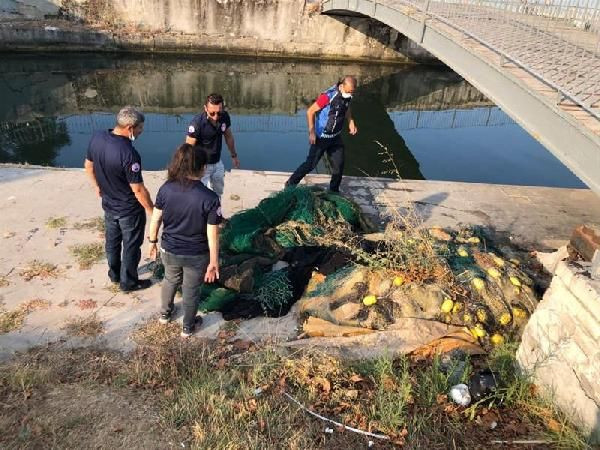 İstanbul'da 2 tonluk kaçak midye operasyonu - Sayfa 4