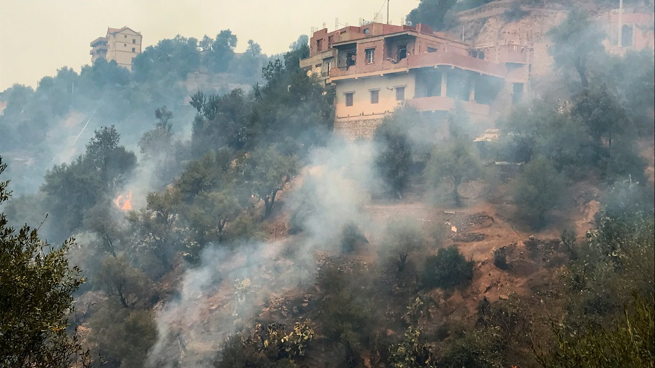 Cezayir'deki orman yangınlarında ölü sayısı 65'e yükseldi
