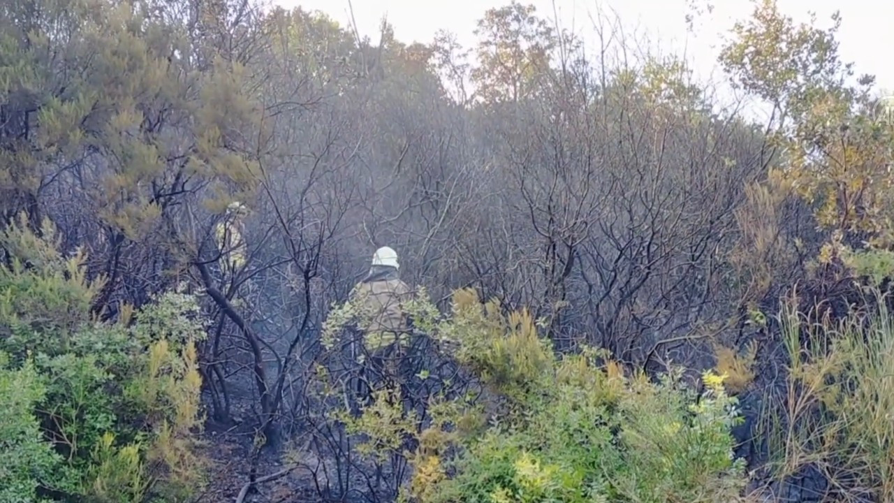 Sarıyer'de aynı mahallede 3 gün üst üste orman yangını çıktı