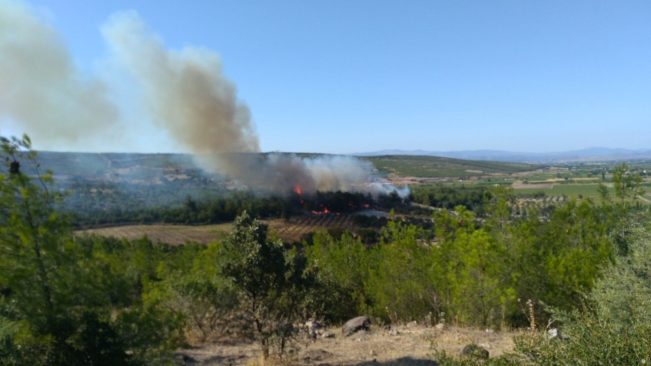 İzmir'de ağaçlandırma sahasında yangın çıktı