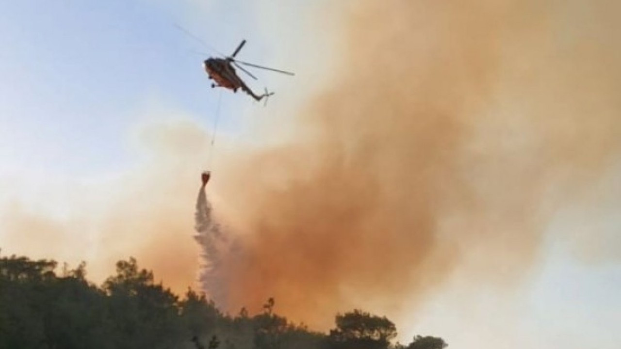 Pakdemirli: Antalya ve Çanakkale'deki yangınlar kontrol altında