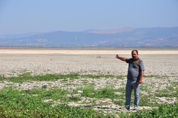 Marmara Gölü'nün son hali: Kuşlar gitti, inekler geldi - Sayfa 4