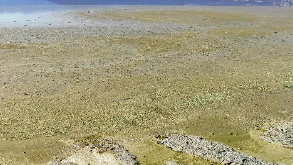 Burdur Gölü'nde alg patlaması: Canlılar tehlikede - Sayfa 3