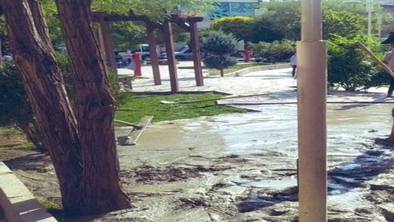 Kayyımın yönettiği İpekyolu Belediyesi ağaç diplerini betonla kapladı