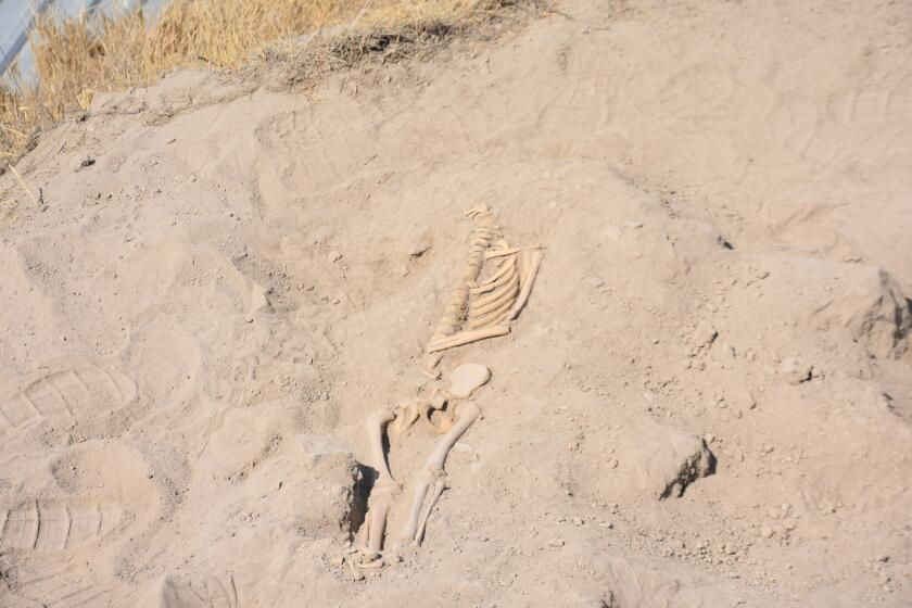 Arslantepe Höyüğü'nde bin yıllık mezarlar bulundu - Sayfa 4