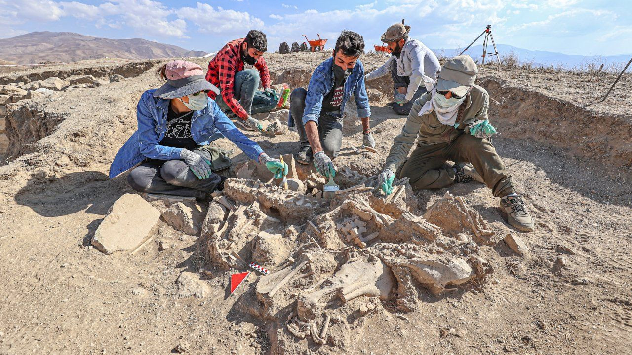 Van'daki kazılarda köpeği, 4 atı, sığır ve koyunuyla gömülen Urartulu mezarı bulundu - Sayfa 1