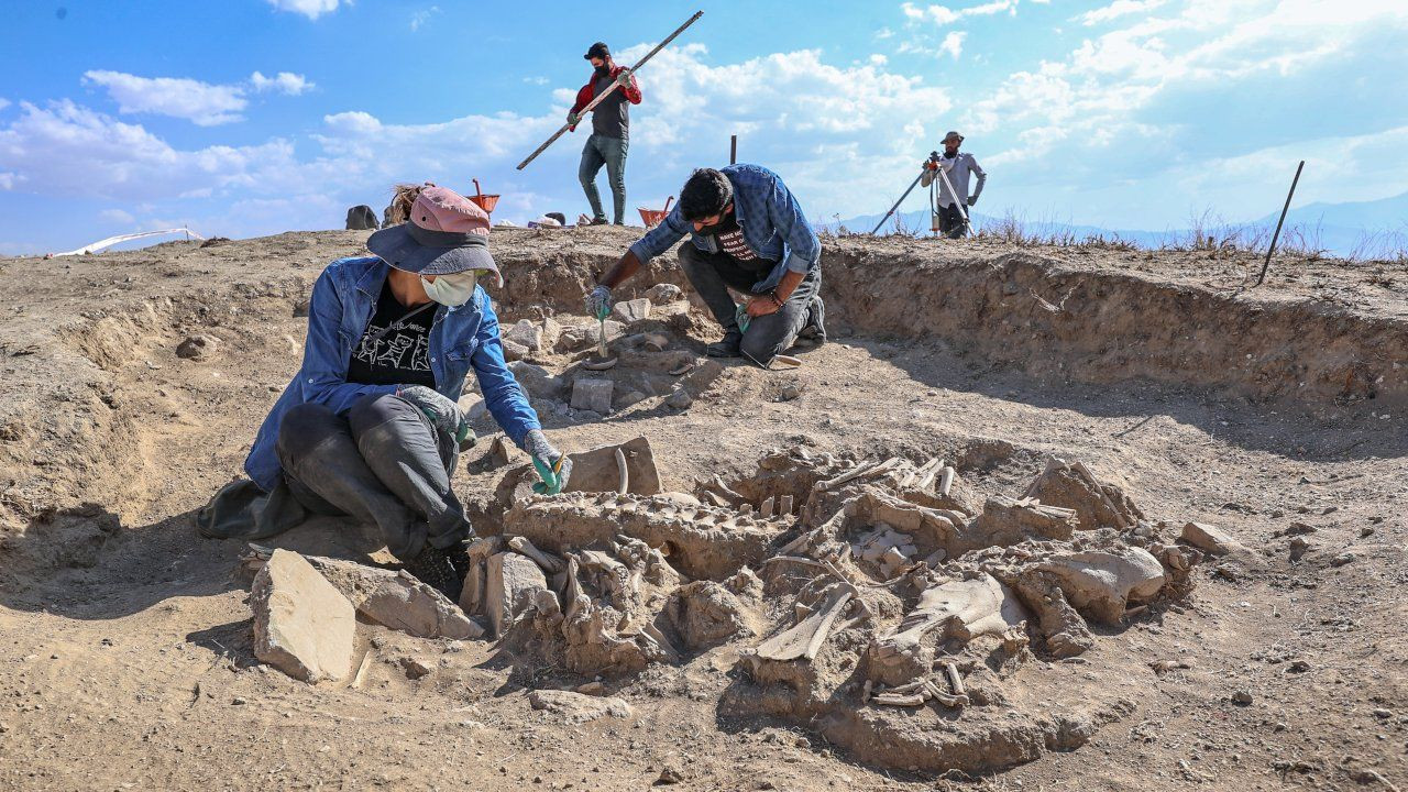 Van'daki kazılarda köpeği, 4 atı, sığır ve koyunuyla gömülen Urartulu mezarı bulundu - Sayfa 2