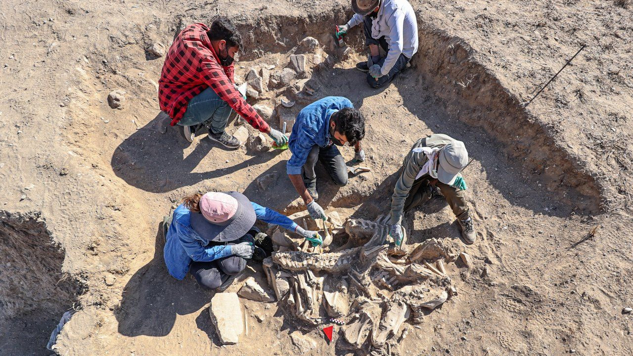 Van'daki kazılarda köpeği, 4 atı, sığır ve koyunuyla gömülen Urartulu mezarı bulundu - Sayfa 4