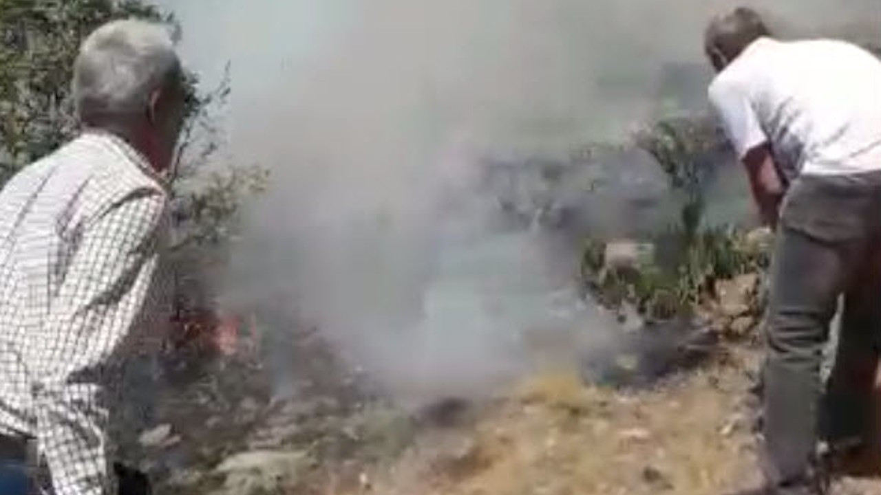 Bingöl'de orman yangını: HDP’li heyet alevlerin arasında kaldı