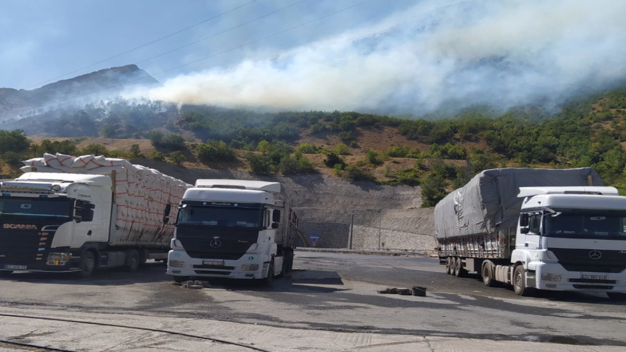 Bitlis'te orman yangını