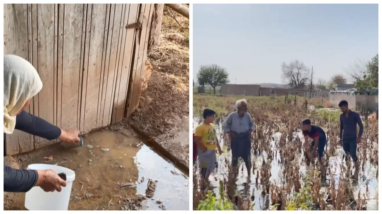 Suruç’ta tarlalara su verildi evler su altında kaldı