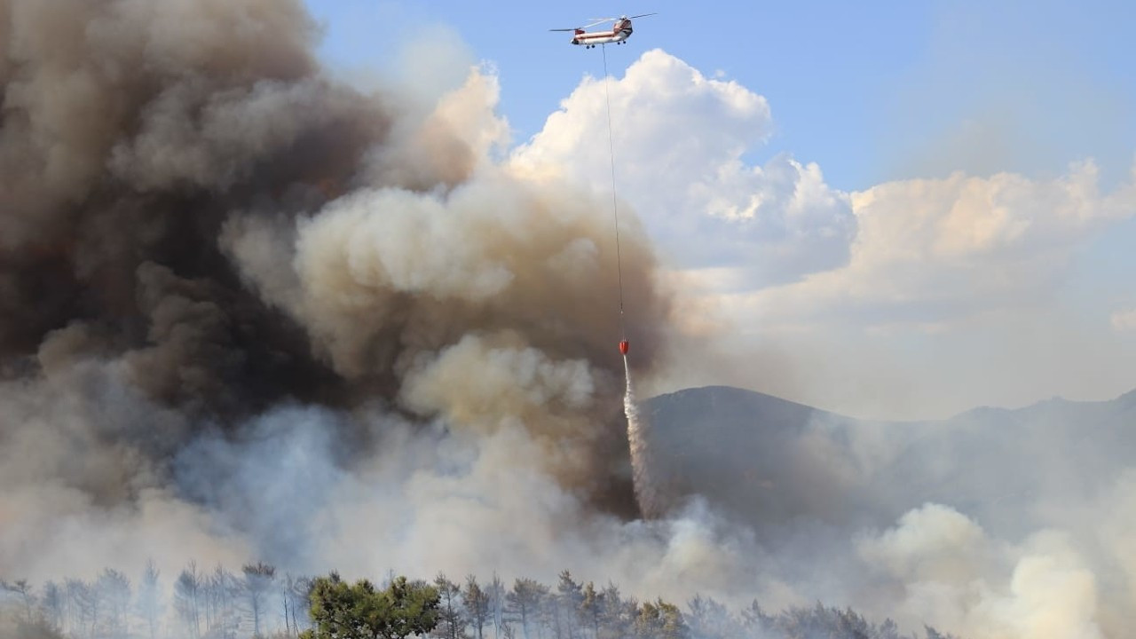 Çanakkale Bayramiç'te orman yangını