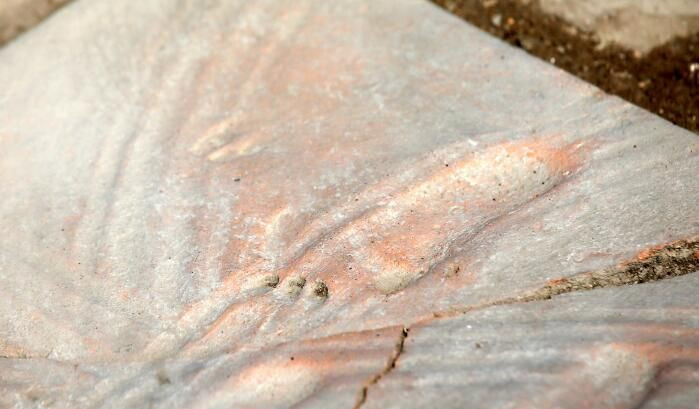 Çanakkale'de bir bebeğe ait 1300 yıllık ayak izleri bulundu - Sayfa 2