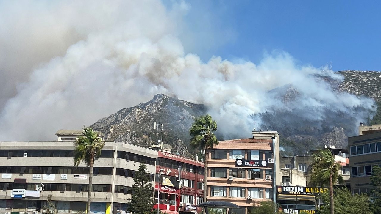 Hatay'da orman yangını