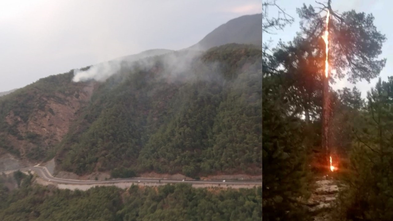Muğla'da 20 noktada çıkan orman yangınları kontrol altına alındı