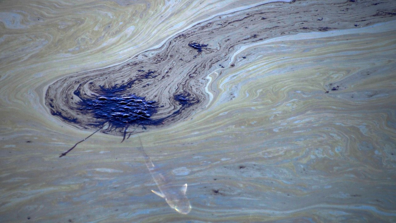 Kaliforniya'da çevre felaketi: Binlerce varil petrol suya karıştı