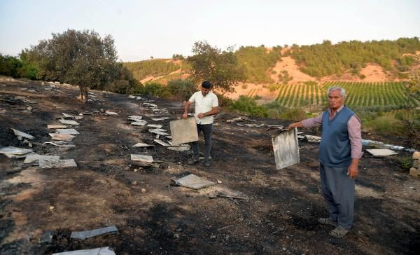 Mersin'de yangın: 5 milyon arı öldü - Sayfa 1