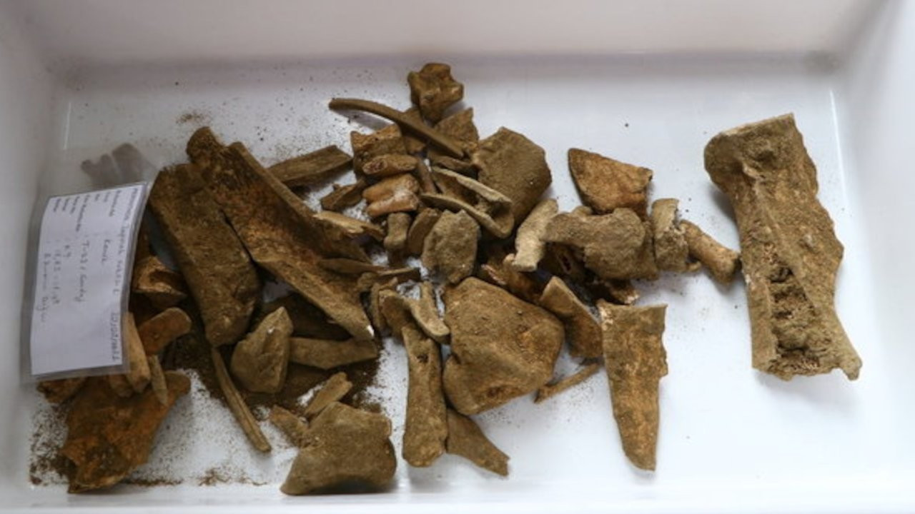 Perinthos Antik Kenti'nde 5 bin yıllık kemikler bulundu