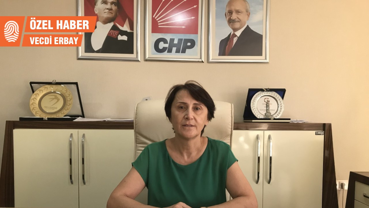 CHP Diyarbakır İl Başkanı Gönül Özel: Bizim Suriye’de ne işimiz var