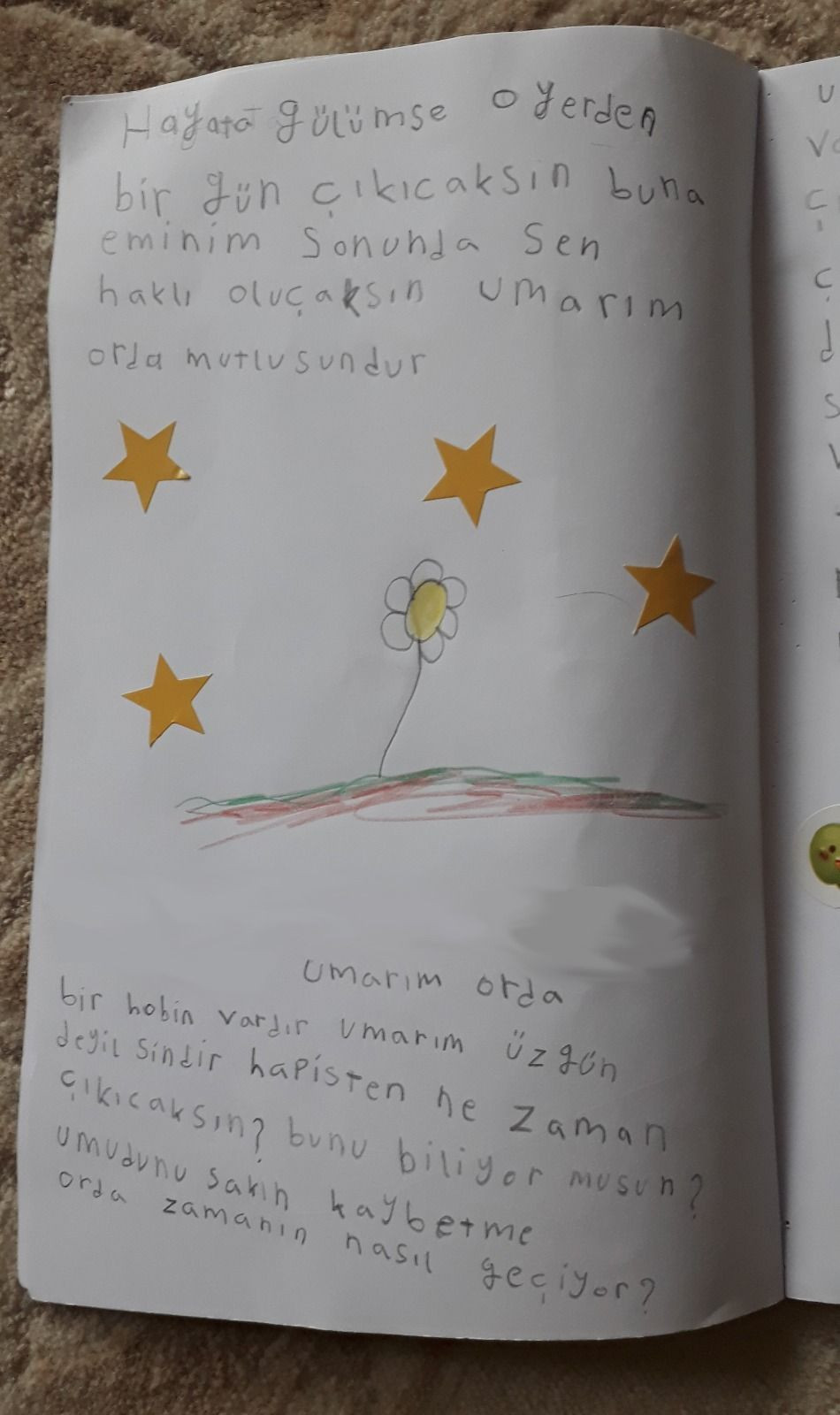 Çocuklardan Demirtaş'a mektup ve harçlık: Umudunu kaybetme, hayata gülümse - Sayfa 1