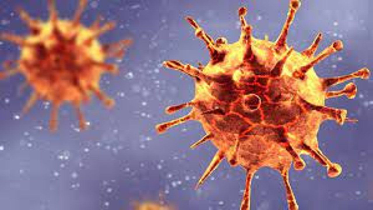 T hücresi: Virüse maruz kalıp hastalanmayanların sırrı çözüldü - Sayfa 1