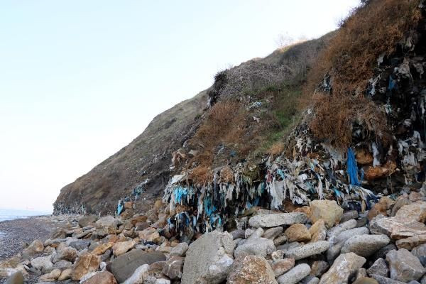 Deniz kıyısında çöp dağı: Tıbbi atıklar denize sürükleniyor - Sayfa 3