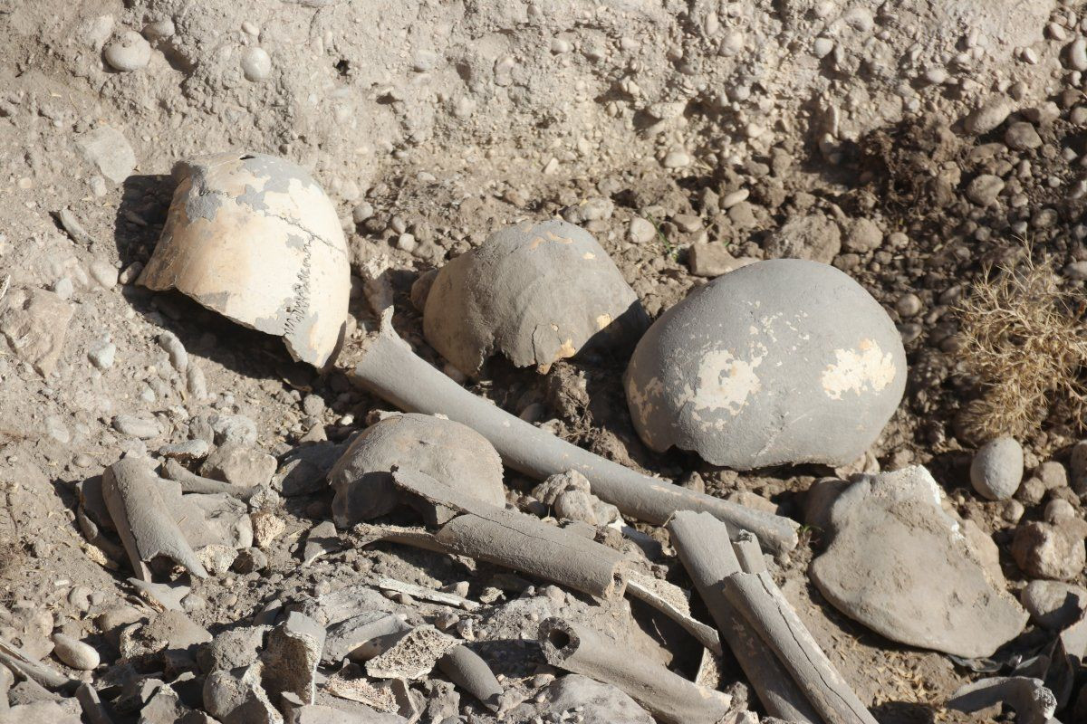 Van Gölü kıyısında Demir Çağı'na ait insan kemikleri bulundu - Sayfa 1