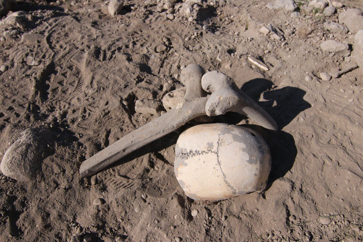 Van Gölü kıyısında Demir Çağı'na ait insan kemikleri bulundu - Sayfa 2