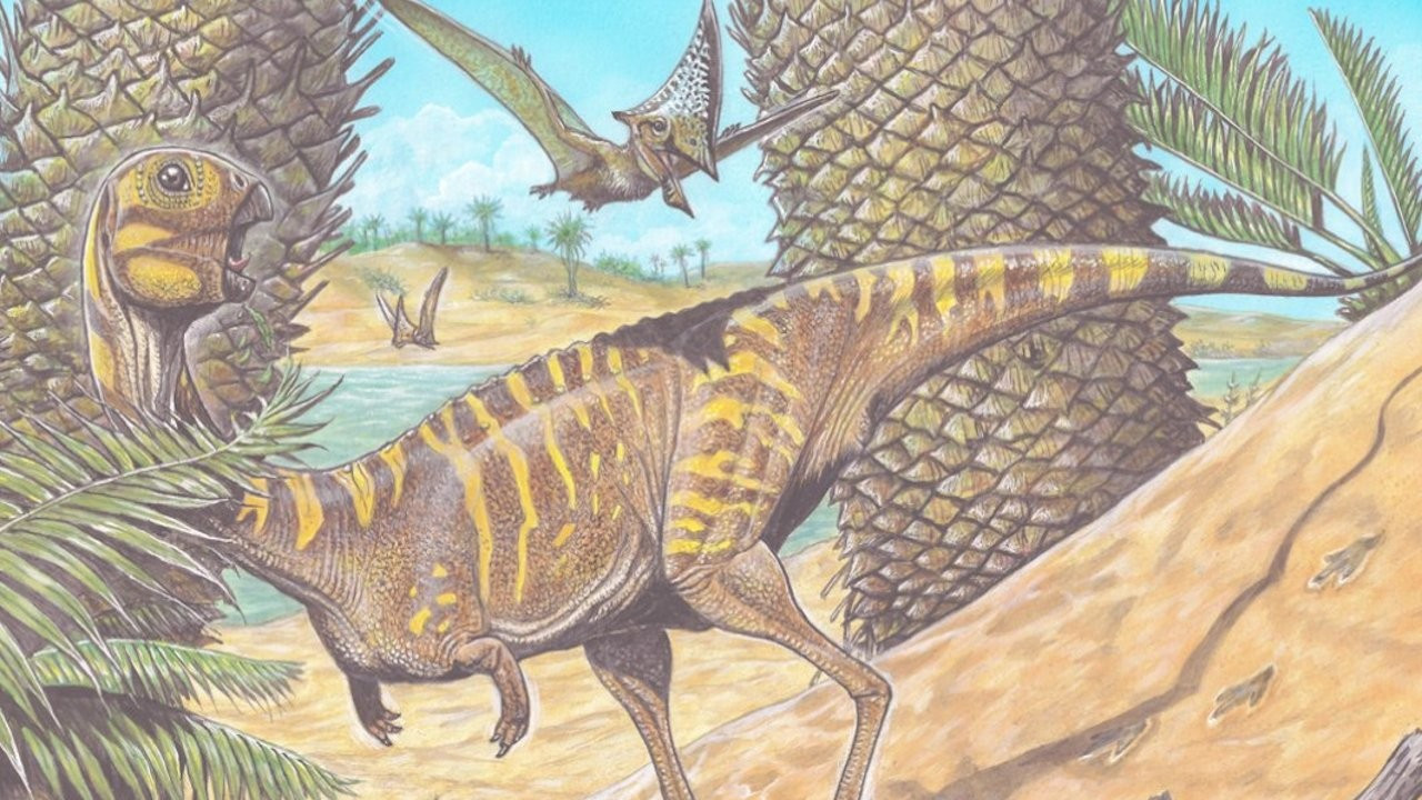 Dişsiz dinozor kalıntısı keşfedildi: 70 milyon yıl önce yaşamış