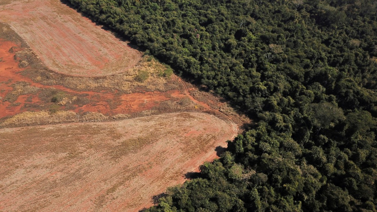 Amazon ormanları son 15 yılın en büyük yıkımıyla karşı karşıya
