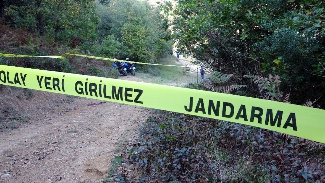 Zonguldak'ta 70 yaşındaki kişinin başı kopmuş cesedi bulundu