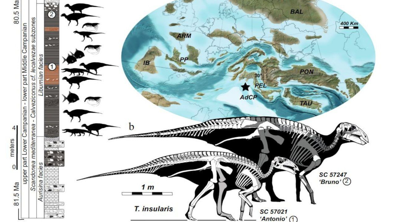İtalya’da dinozor sürüsü kalıntıları keşfedildi: Adlarına 'Bruno' ve 'Antonio' denildi - Sayfa 1