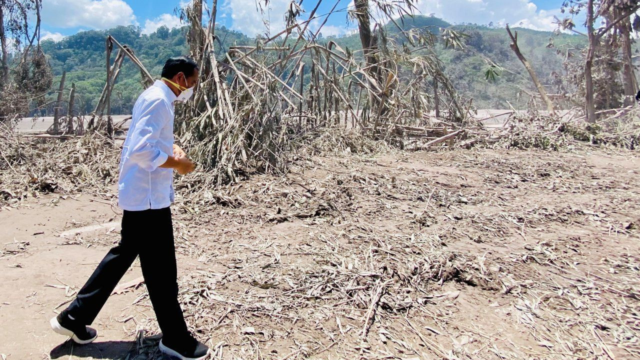 Endonezya'da Semeru Yanardağı'ndaki patlamada ölü sayısı 34'e çıktı - Sayfa 4