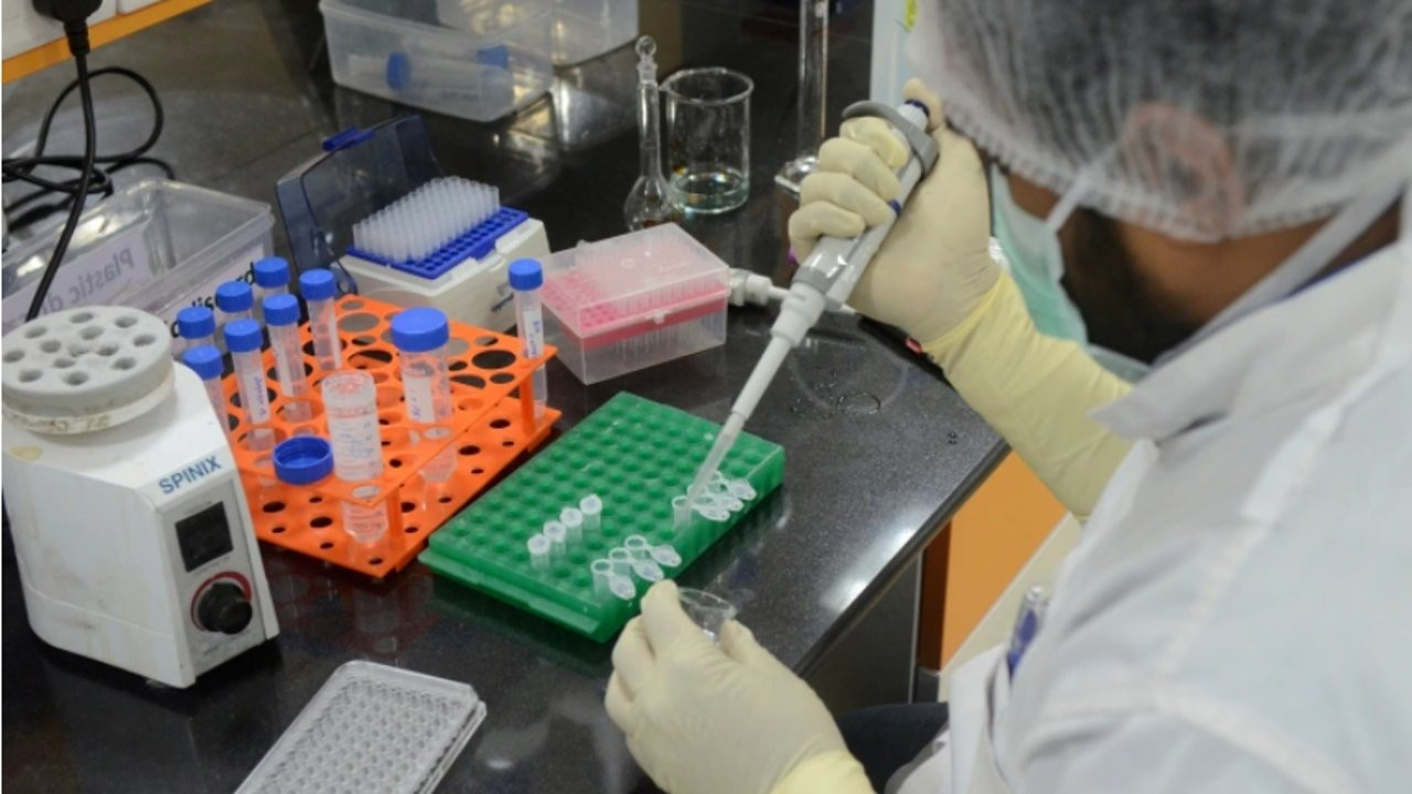 Japonya'da yaşlanmaya karşı aşı: 'Zombi hücreleri' hedef alıyor
