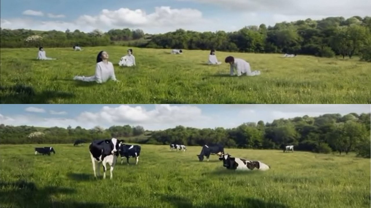 Süt şirketi, kadınları ineğe dönüştüren reklam için özür diledi