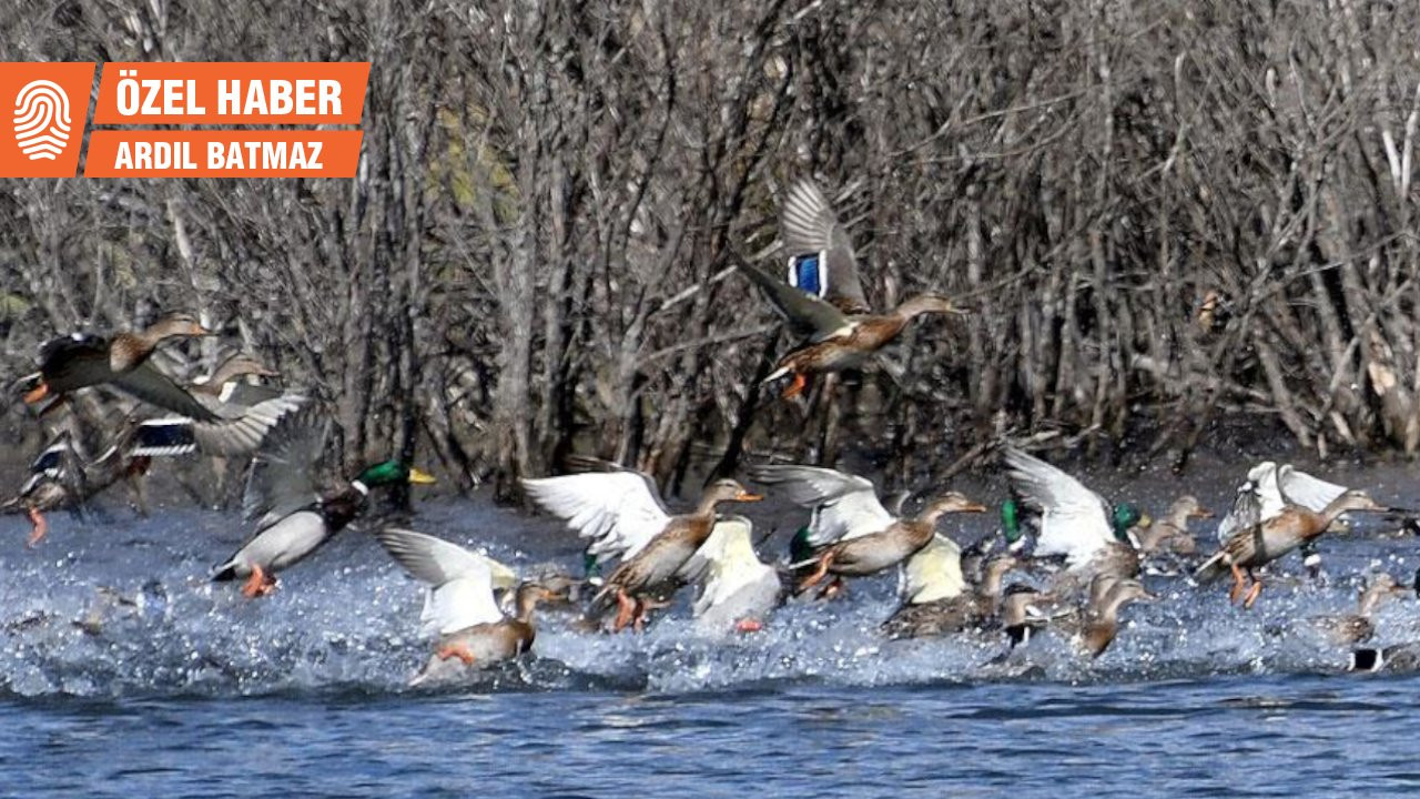 'Eber Gölü’nde av' reklamı: 25 ördek vurabilirsiniz