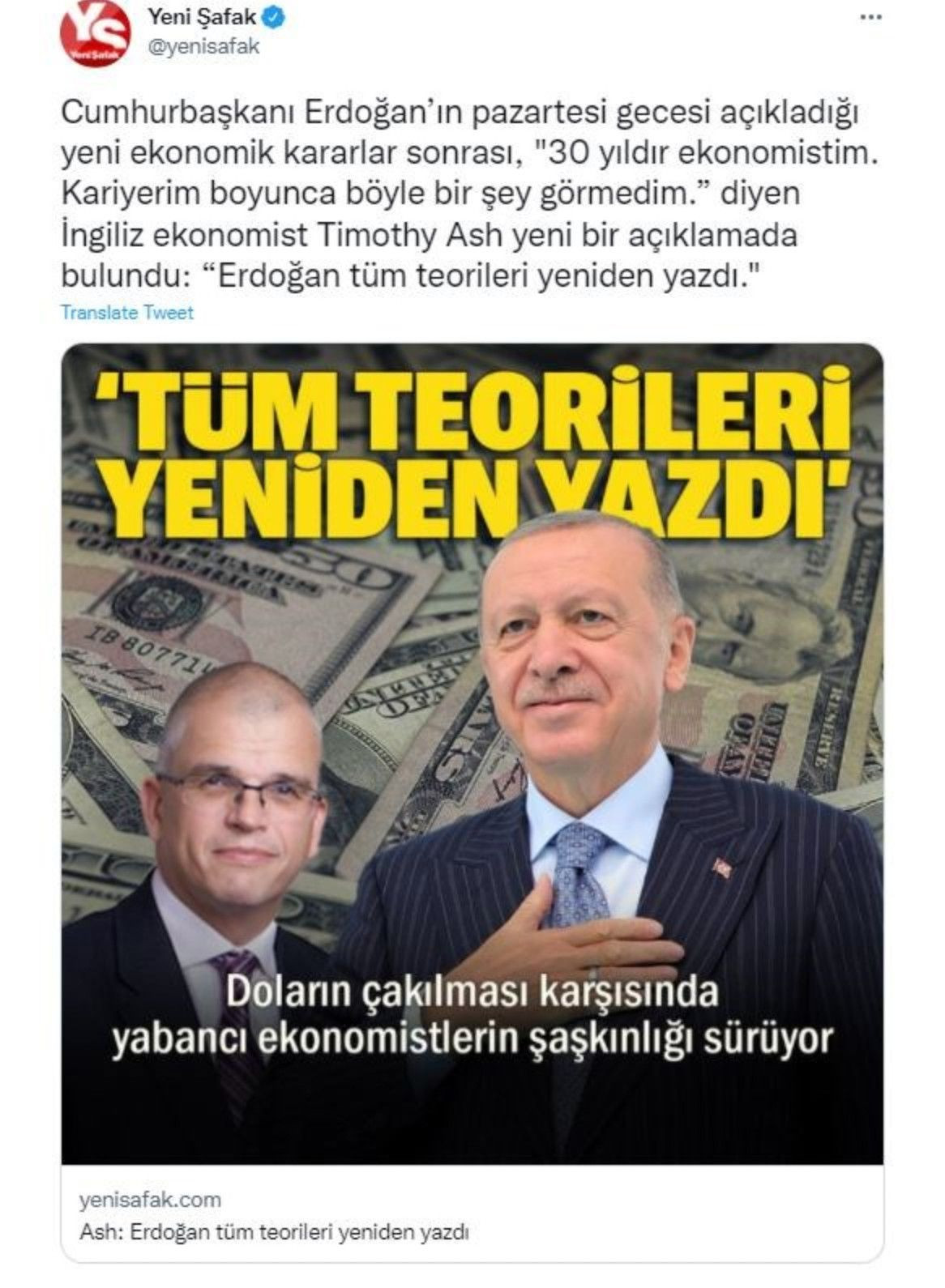 Ekonomist Timothy Ash, Erdoğan'ı yerdiğini anlamayan Akit ve Yeni Şafak'la dalga geçti: Ah canım - Sayfa 3