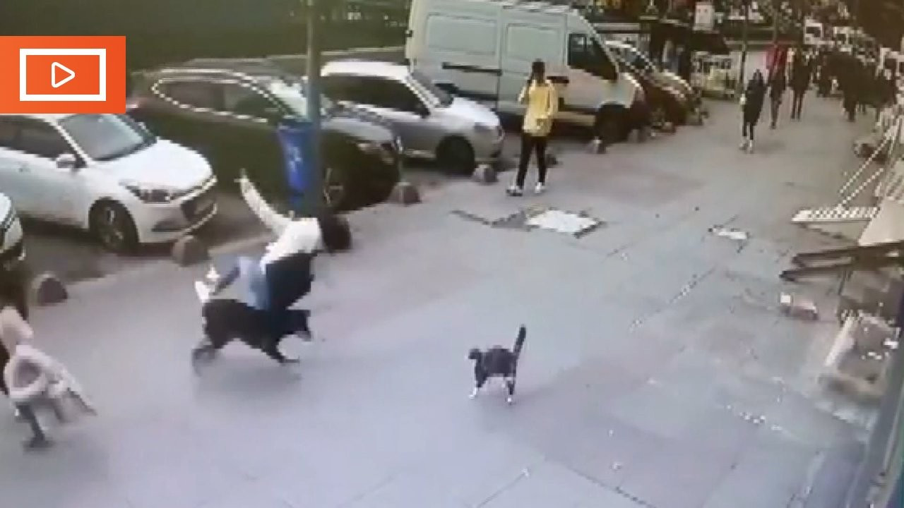 Kediden kaçan köpek kadını düşürdü