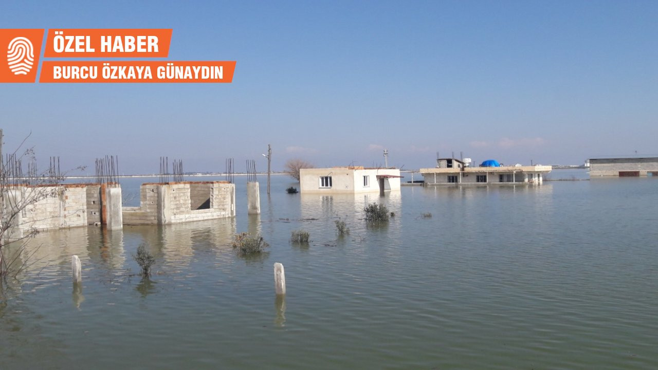 Taşkını önlemek için kurutulan Amik Gölü alanını her sene sel basıyor