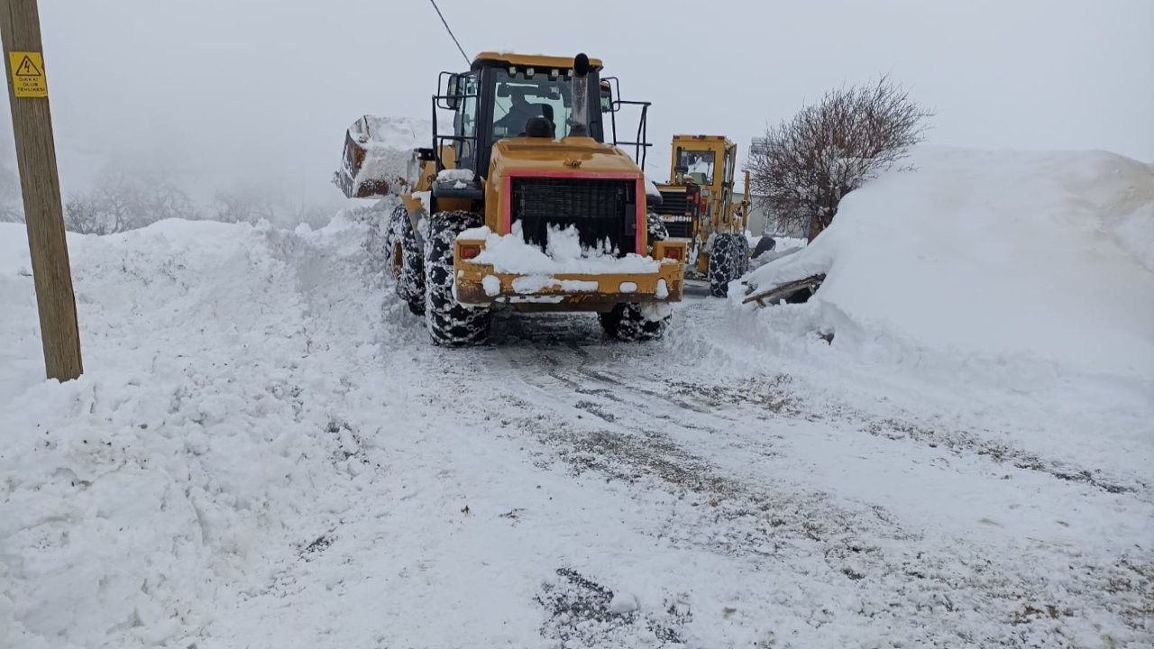 Malatya'da kar nedeniyle 239 mahallenin yolu kapandı