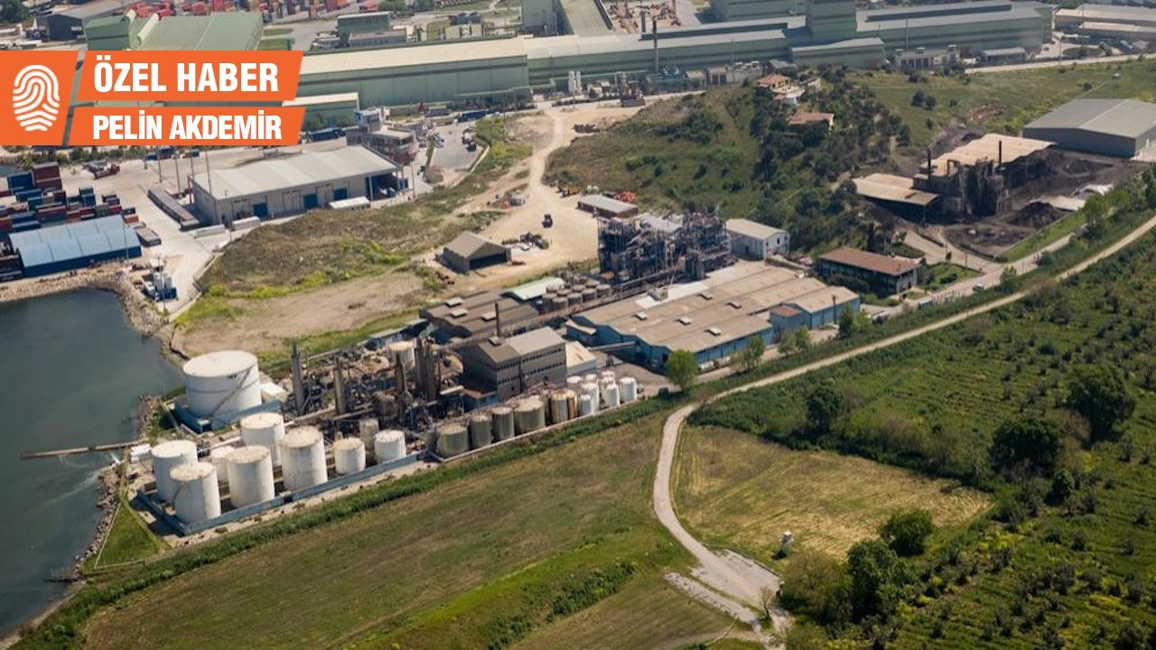 Gemlik'te kimya fabrikasına deniz deşarjı onayı verilmesine tepki: Müsilaja davetiye