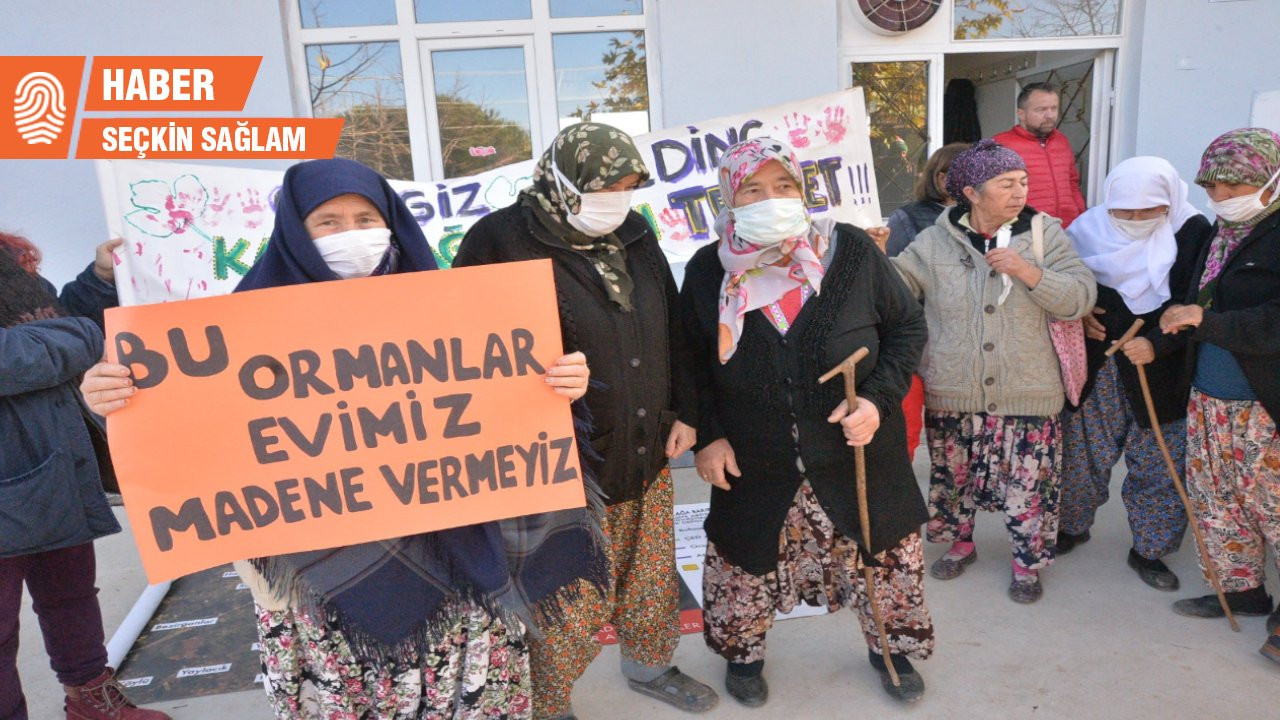 Cengiz Holding’in Kazdağları projesi için rapor: Uygun değildir