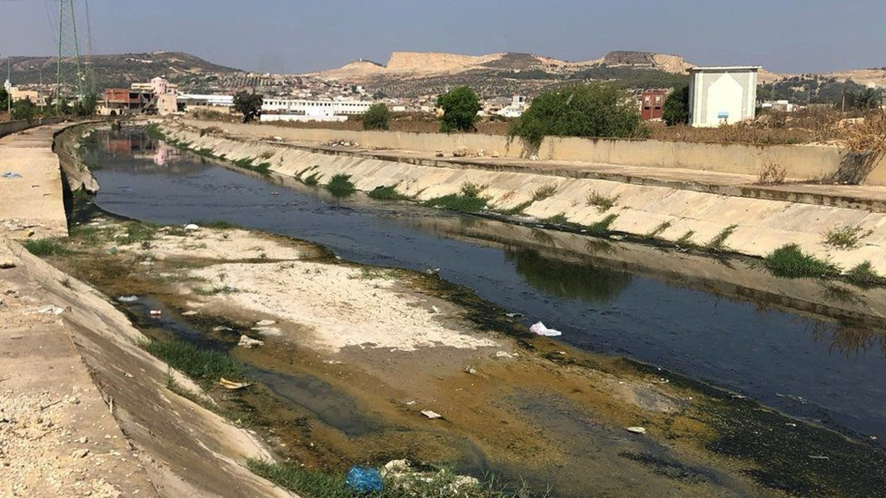 Araştırma: Nehirlere karışan ilaçlar 'küresel sağlık riski yaratıyor