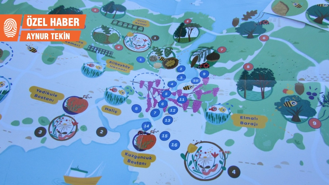 Çocukları bitki dedektifi yapan harita: Flora İstanbul