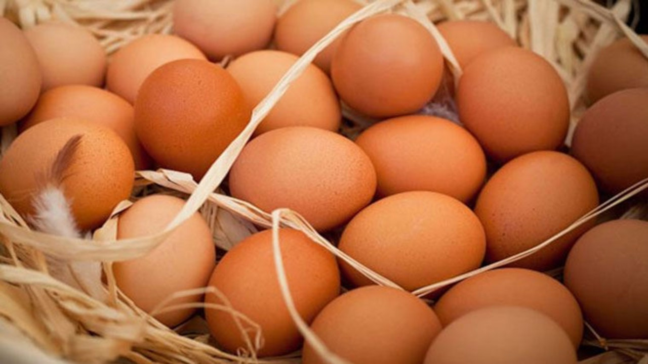 Rekabet Kurulu’ndan yumurta üreticilerine soruşturma